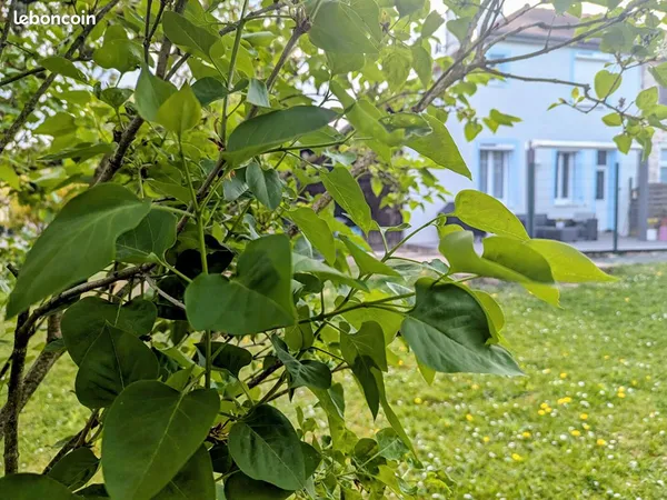 Maison 4 pièces 80 m²