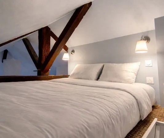Charmant appartement - Centre historique Blois