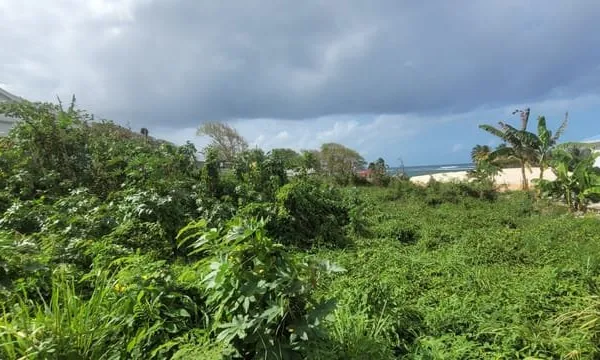RARE Terrain d'exception 569 m2 Accès plage - étude de s