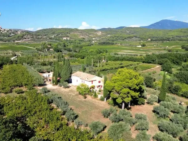 Demeure oliviers verger et vignes