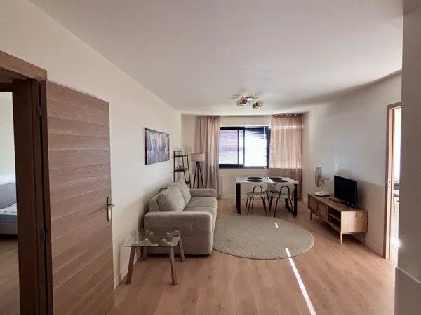 T2 meublé 56 m2 refait à neuf vue confluence et les Alpes