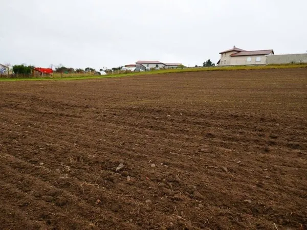 Terrain 2641 m²