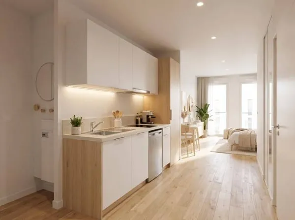 Appartement 1 pièce 24 m²