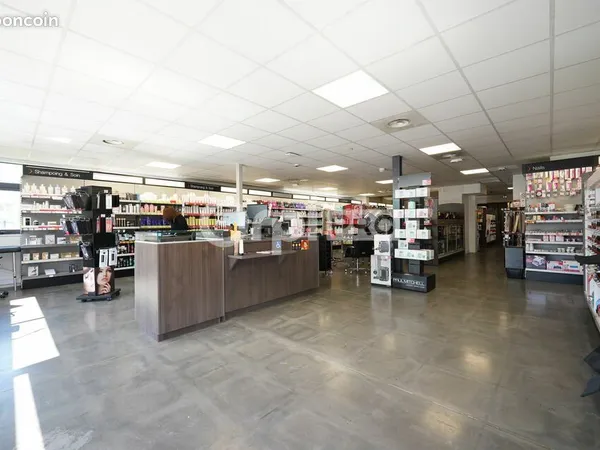 Local d'activité 480 m²