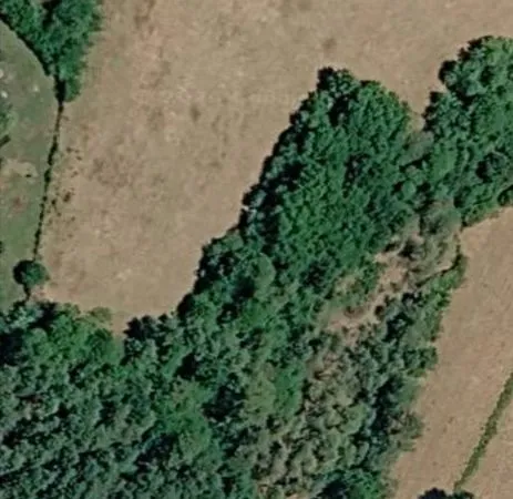 Terrain agricole