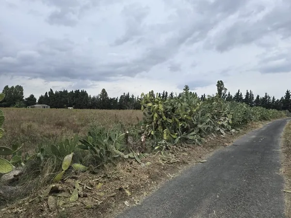 ELNE - Terrain agricole avec plus de 100 m² de bâti