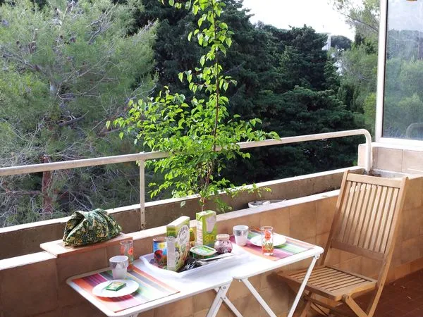 T1 meublé climatisé , surface 30 M2 + Terrasse 6M2 et parking privé