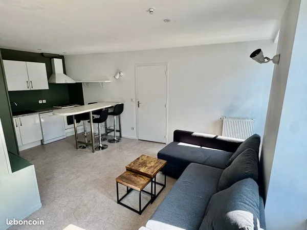 T3 centre ville collocation possible