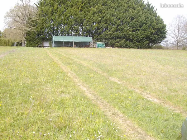 Terrain 37166 m² SAINT BARTHELEMY D ANJOU