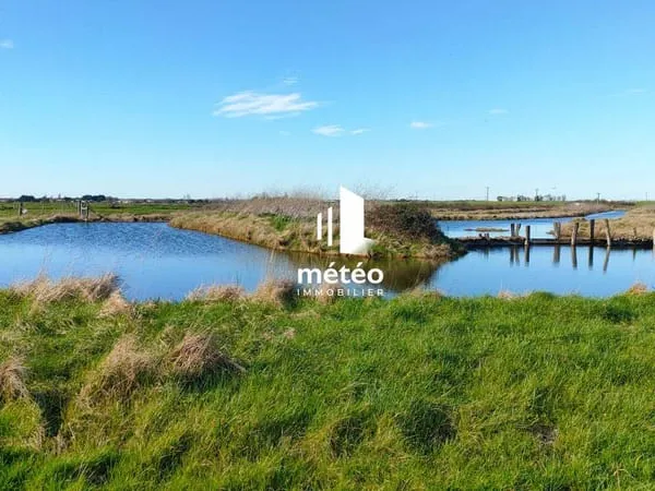 Propriété agricole