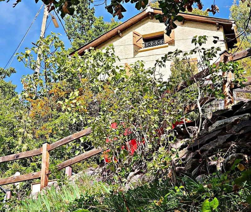 Photo 3