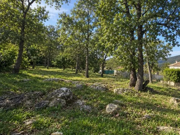 Terrain 981 m²