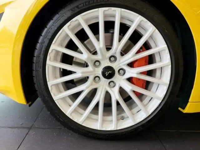 Alpine A110 1.8t 300ch tour de corse 75 — photo 12