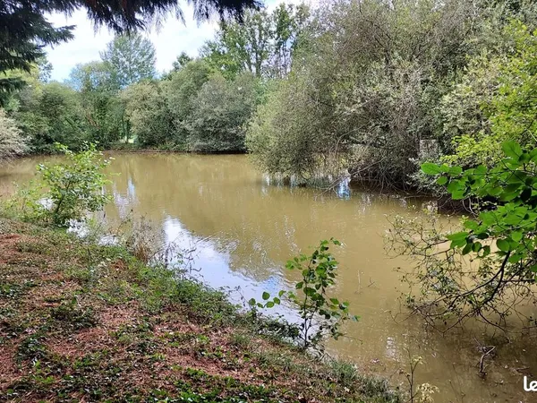 Terrain de loisir avec étang