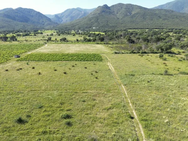 Terrain agricole