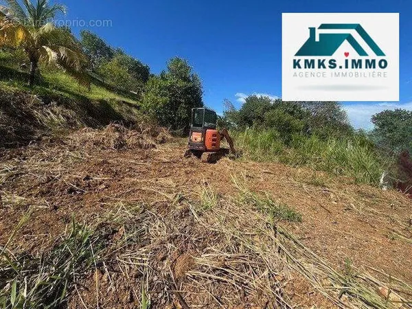 Terrain 592 m²