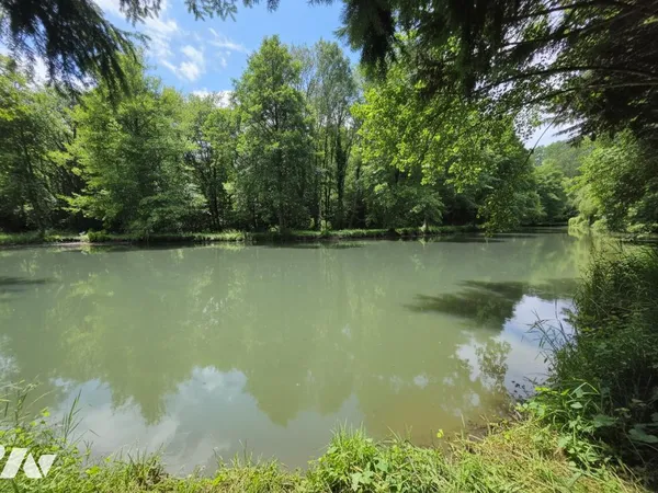 Terrain 6950 m²