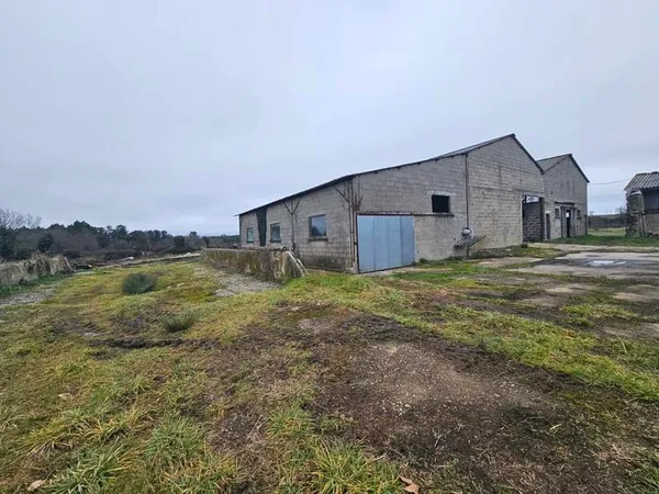 Local 1 pièce 300 m²