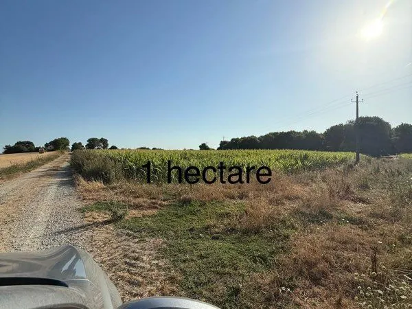 Vends terrain agricole Listrec en 56550 LOCOAL MENDON