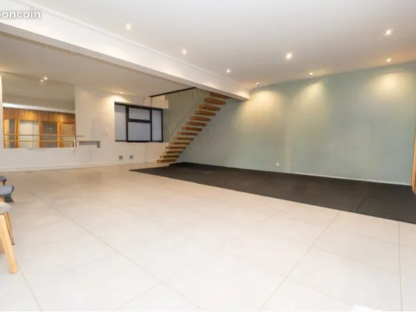 COLOCATION PREMIUM LOFT de 217 m2