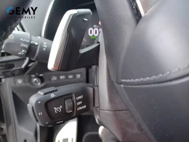 Ds Ds 7 hybride rechargeable e-tense 300 eat8 4x4 — photo 25