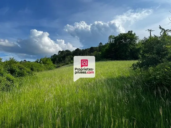 Beau terrain constructible et arboré de 3350 m² situé proche du bourg de SAINT-PAUL-DE-SERRE (24380)