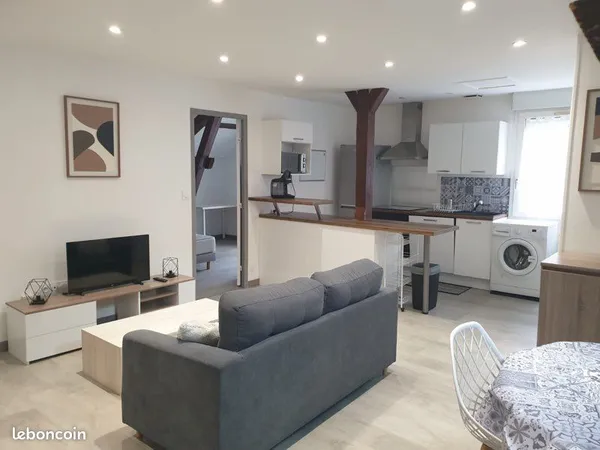 T3 MEUBLÉ 51 m² + place de parking privatif - PROCHE CENTRE-VILLE ✨