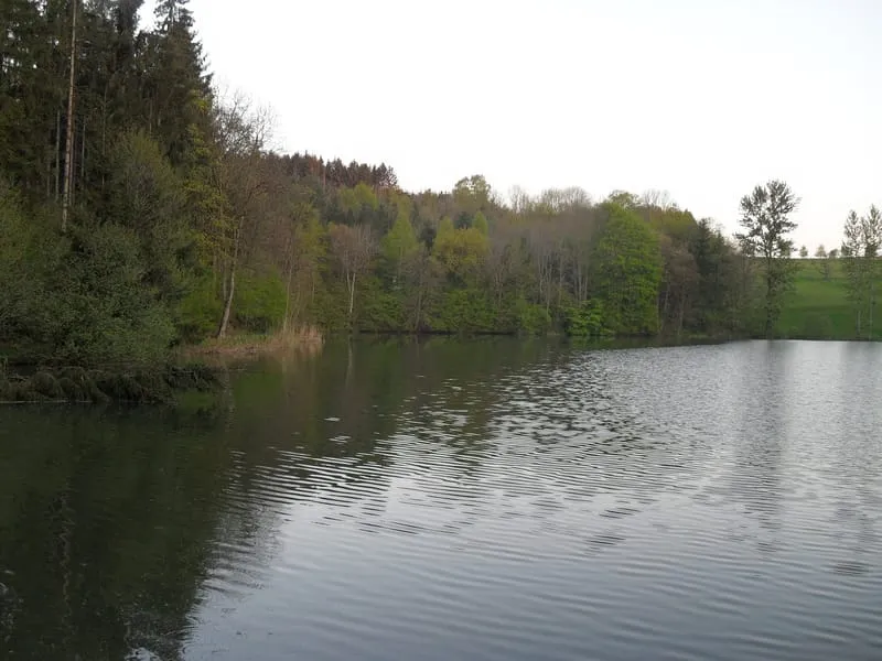 Photo 27