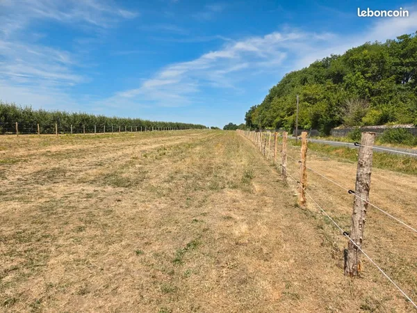 Location terrain prairie pour chevaux