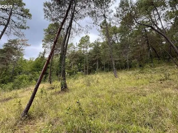 Terrain 2 519 m² Antonne Et Trigonant