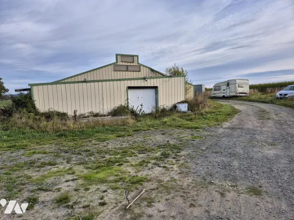 Local 1100 m²