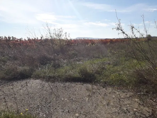Terrain 402 m²