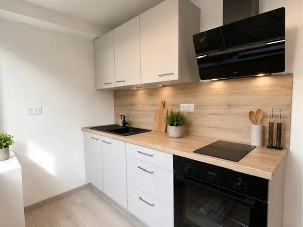 Studio T1 rénové - 22 m² - Lingolsheim