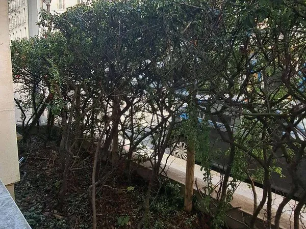 Studio 1 pièce 39 m²