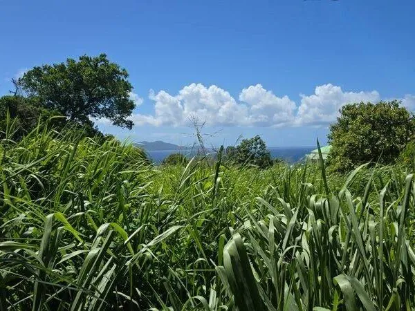 Terrain constructible 780 m²