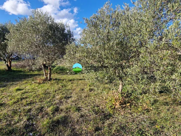 Terrain constructible 422 m²