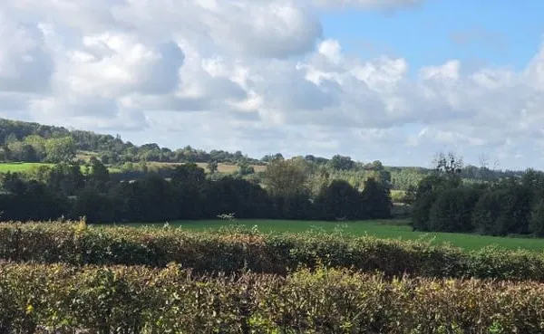 Terrain 803 m²