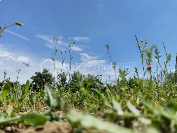 Terrain 841 m²