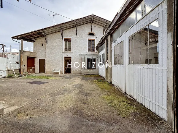 ST DIDIER SUR CHALARONNE : ensemble immobilier 379 m2,