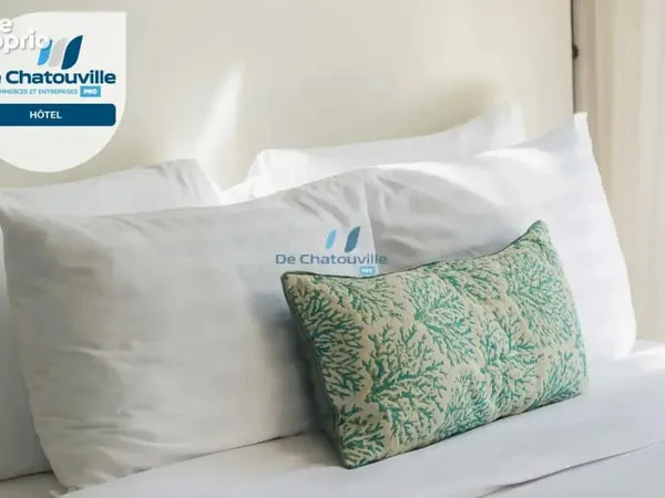 Hotel restaurant murs et fonds 28 chambres ***