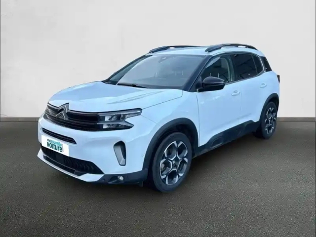 Citroën C5 Aircross bluehdi 130 eat8 — photo 40