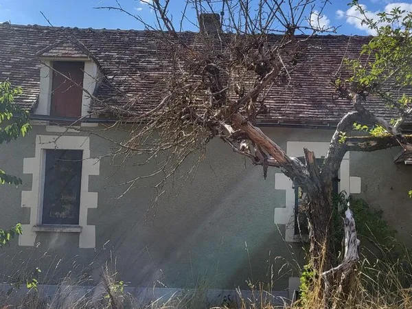 Grange 6 pièces 130 m²