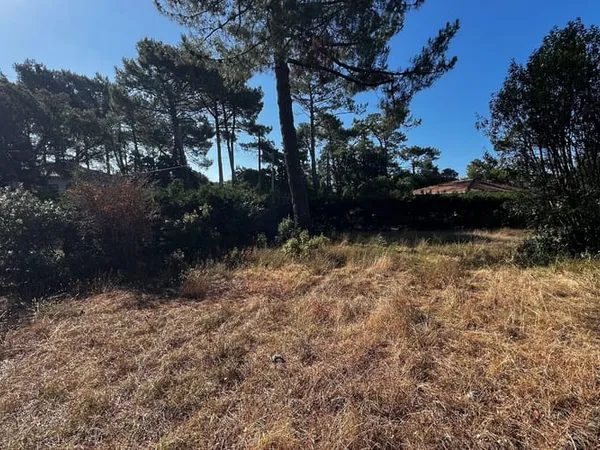 Terrain 658 m²