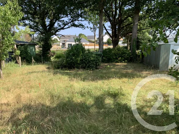 Terrain 443 m²