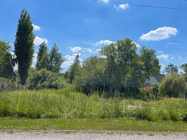 Terrain 1295 m²