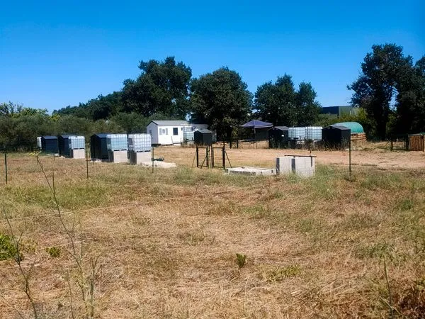 Vente terrain agricole