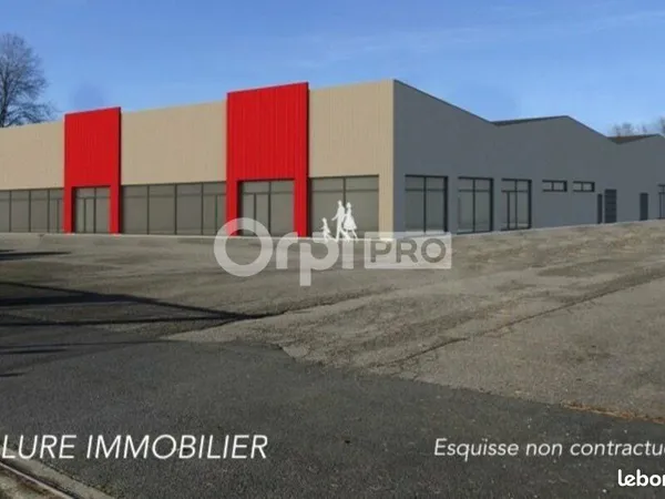 Bureau 365 m²