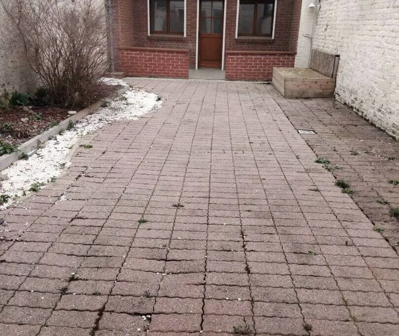 Photo 8