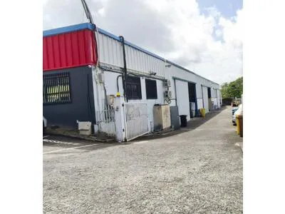 Local commercial à Ducos 360 m2