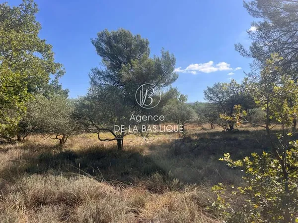 Terrain 21256 m²